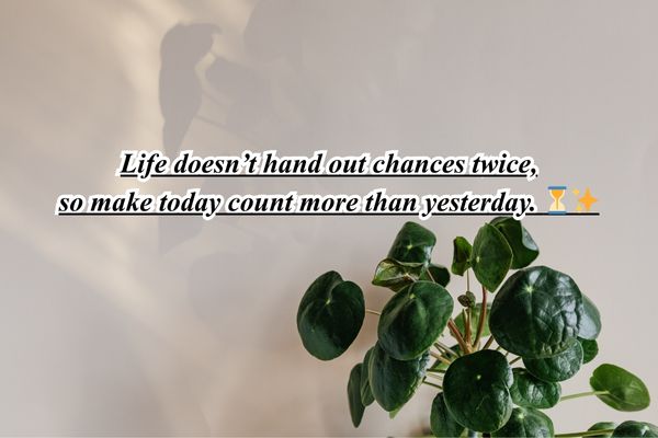 a new beautiful life quote