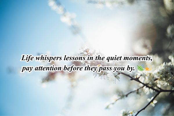 100+ A  New Beautiful Life Quote​ Collection for You