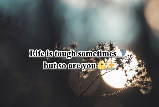 a boring life quote​