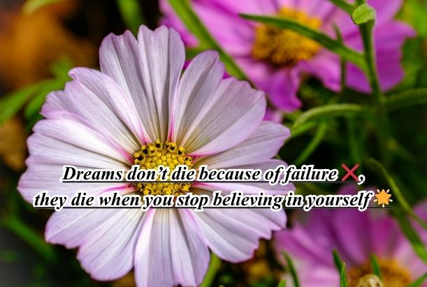 humorous inspirational quotes