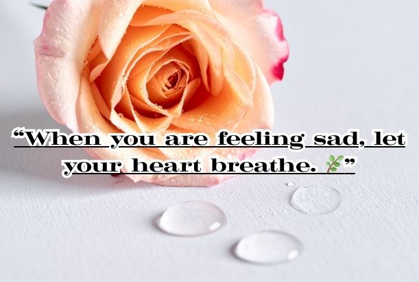 When you are feeling sad quotes