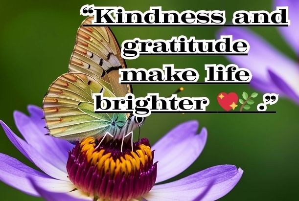 life positive life quotes