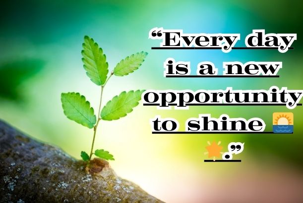 life positive life quotes