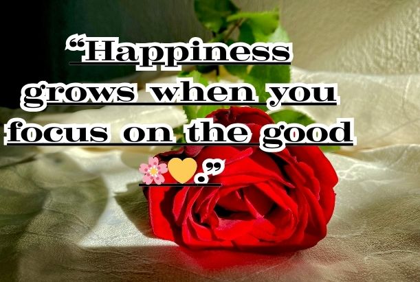 life positive life quotes